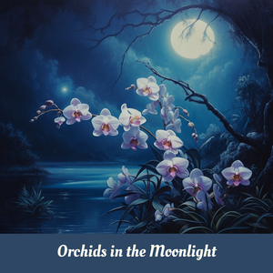 Orchids in the Moonlight