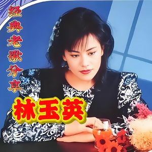 爱的誓言(DJ小小版)