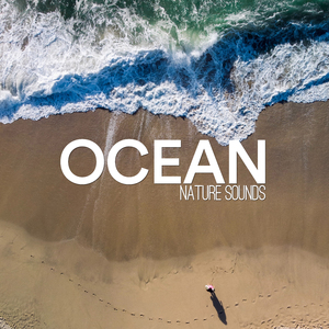 Walk on the Coastline