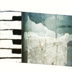 Inaudible Thunderstorm