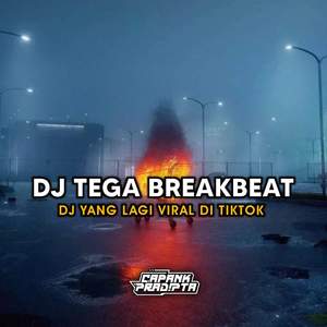 DJ TEGA-INST