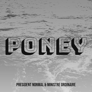 Poney