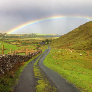 One Road Home