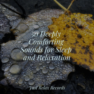 Fading Autumn Cadence