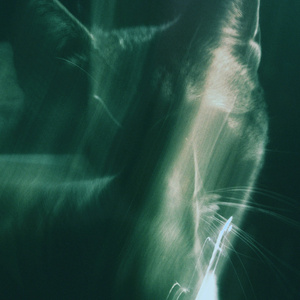 In the garden (Interlude)