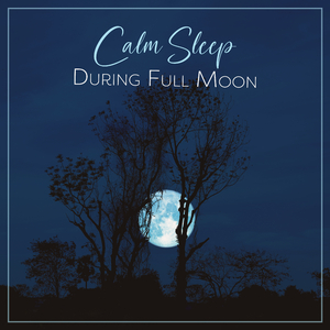 Full Moon Night
