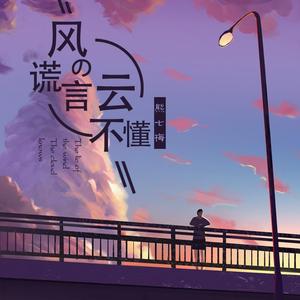 风的谎言云不懂(DJ沈念版)