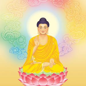 南无本师释迦牟尼佛