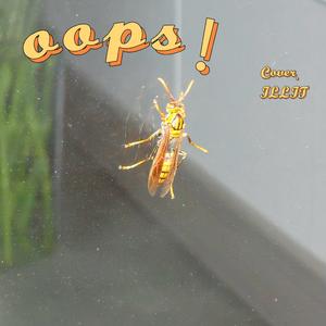 oops! (Cover. ILLIT)