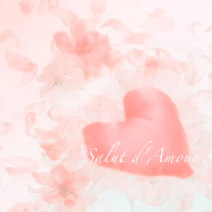 「二胡」爱的礼赞 Salut d'Amour（Cover Edward Elgar）