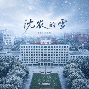 沈农的雪（伴奏）