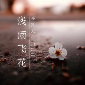 浅雨飞花