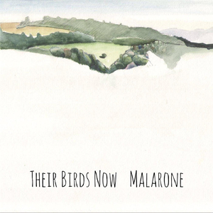 Malarone