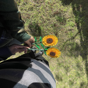 Girasol:)