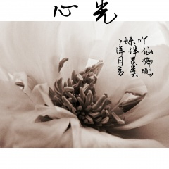 唯美男声,极致火花