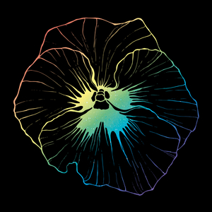 Produktionsfehler (Hammerbandenversion)