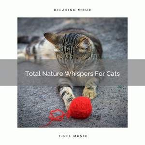 Calming Nature Sounds Especially For Beloved Cats