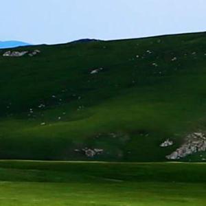 爱得太深心会碎