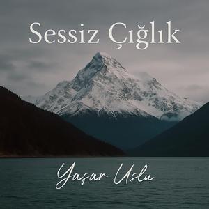 Sessiz Çığlık