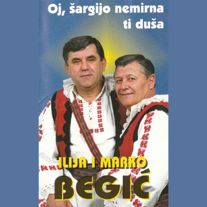 Volim drustvo, volim pjesmu