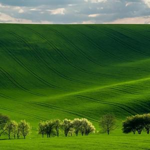 曾在黎明前拥抱