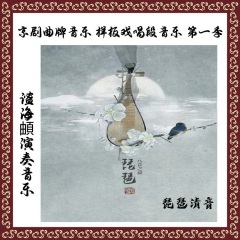 琵琶清音 娄山关