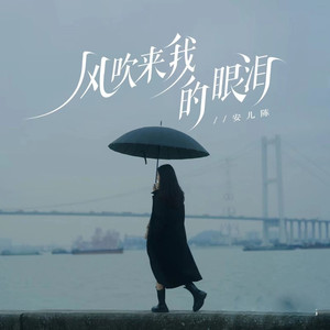 风吹来我的眼泪