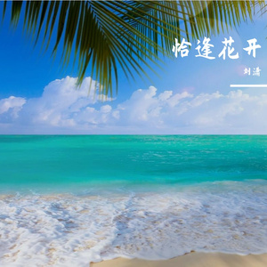 恰逢花开