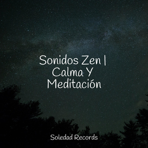 Profundamente Dormido