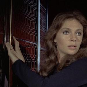 carving (feat. whyhaze)