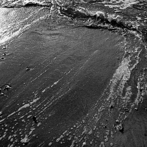 And the Dust Settles