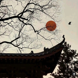梦