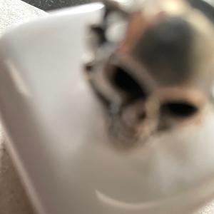 FEELykDyin skull8 (feat. Ecco2k)