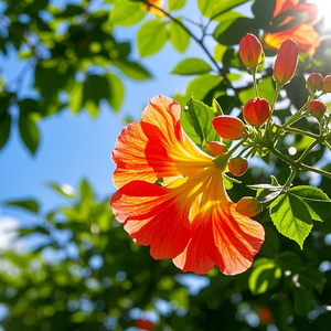 3惊蛰·《雷音备忘录》