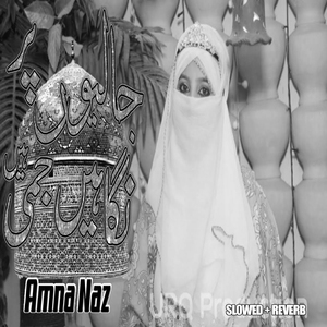 Jaliyon Par Nigahen Jami Hain (Lofi-Mix)