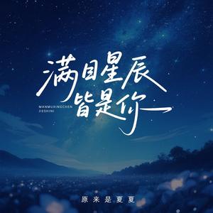 满目星辰皆是你 (深情版)
