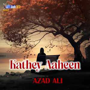Kathey Aaheen