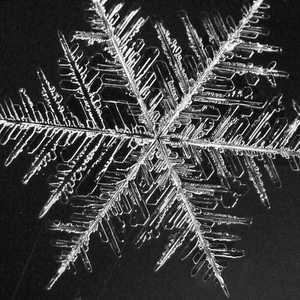 雪之花（翻自 中島美嘉）