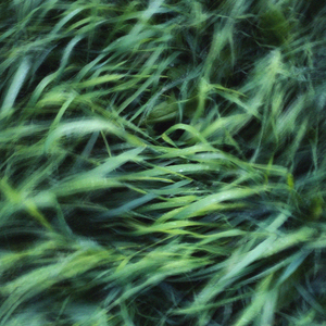 White Noise - 4kHz, Pt. 20