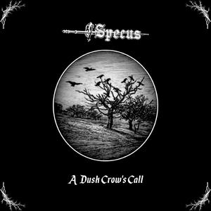 A Dusk Crow's Call