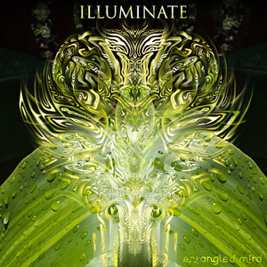 Illuminate