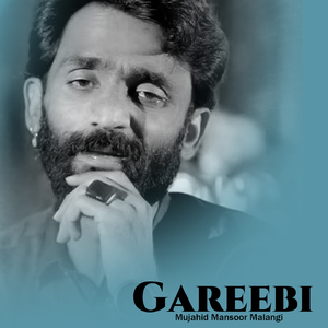 Gareebi (Slowed+Reverb)