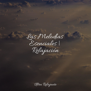 Ondas Fluctuantes