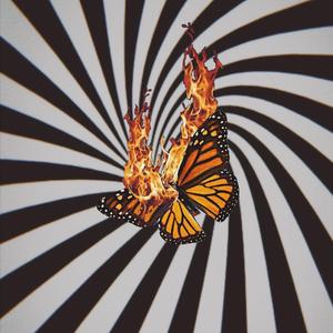 Battery Acid Butterfly