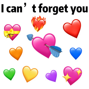 I can't forget you