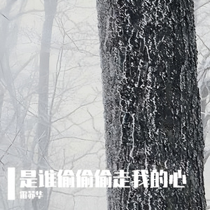 是谁偷偷偷走我的心