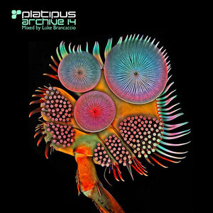 Rococco (Original Mix - Remastered)