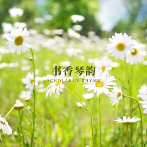 学海轻唱 (环境氛围)