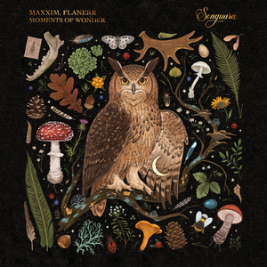 Moments of Wonder (Extended Mix)