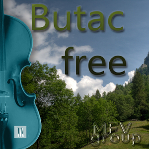 Butac ostinato